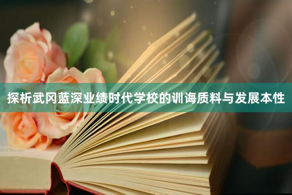 探析武冈蓝深业绩时代学校的训诲质料与发展本性